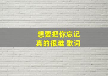 想要把你忘记真的很难 歌词